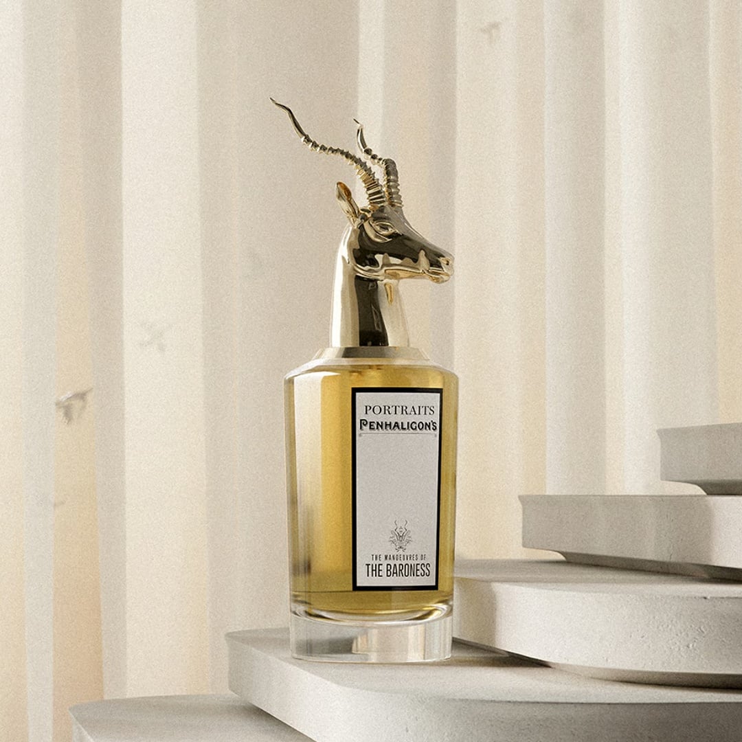 Image of The Manoeuvres of the Baroness EDP